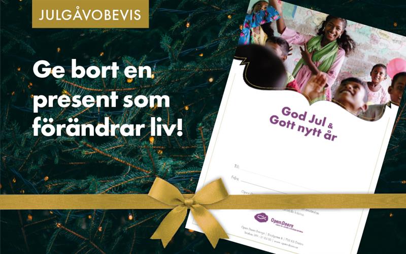 startsida-julgavobevis